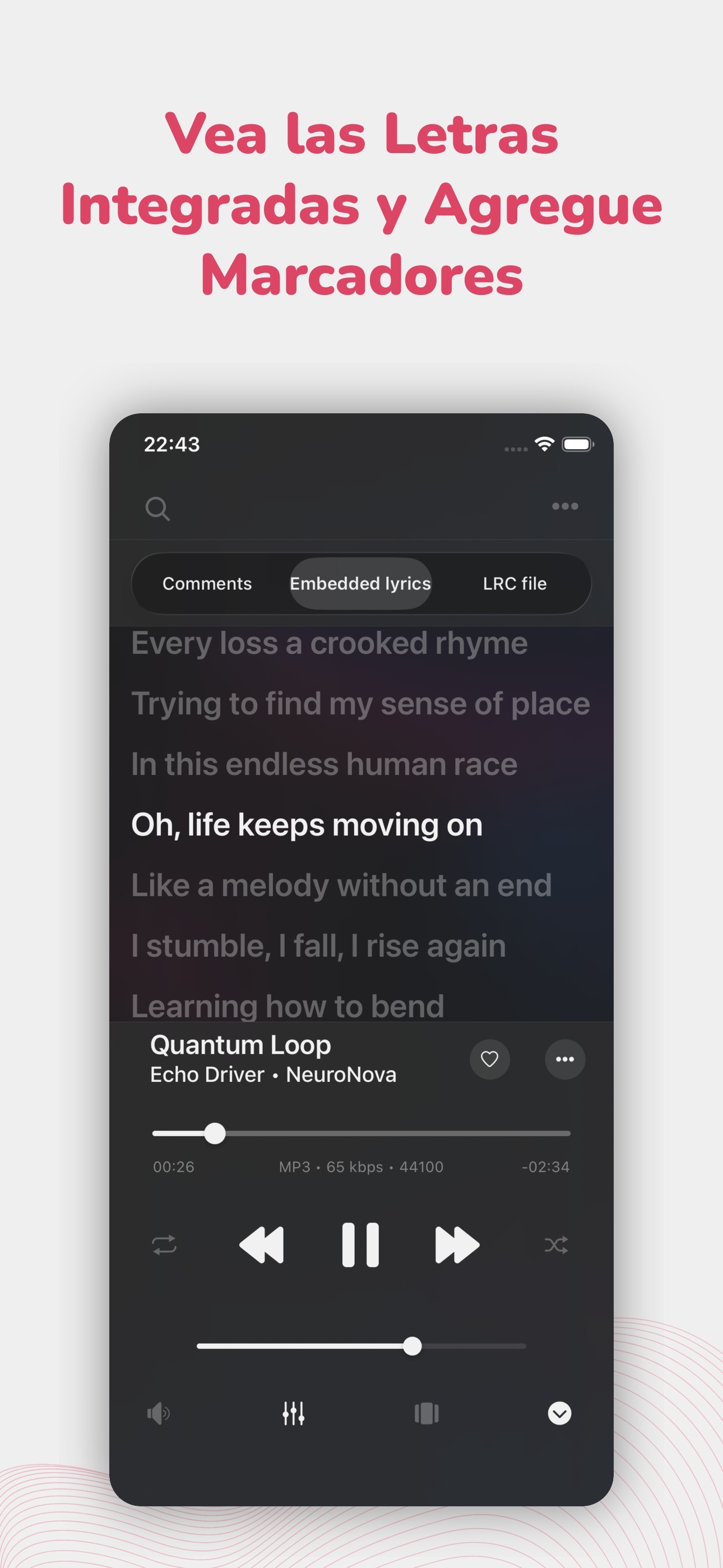 Screenshot 4 of Evermusic Pro: reproductor mp3