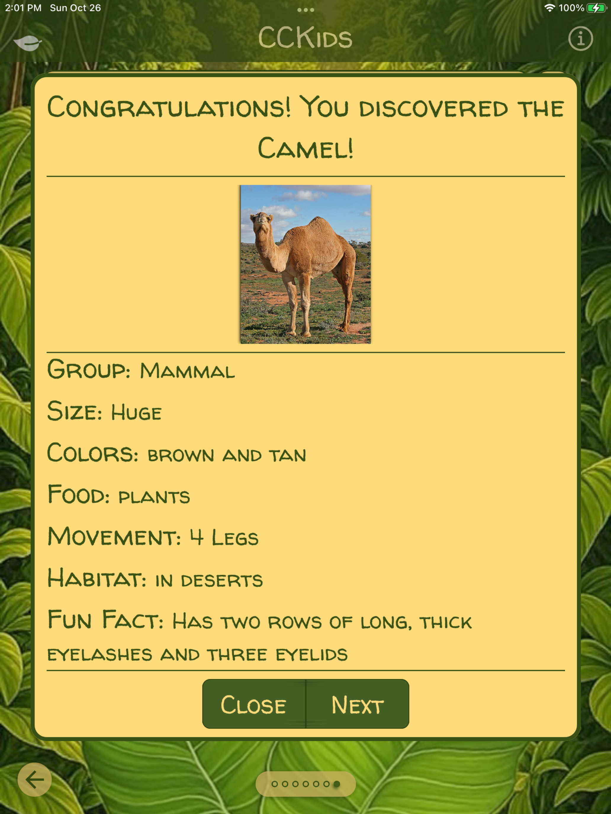 Critter Clues Kids screenshot 11