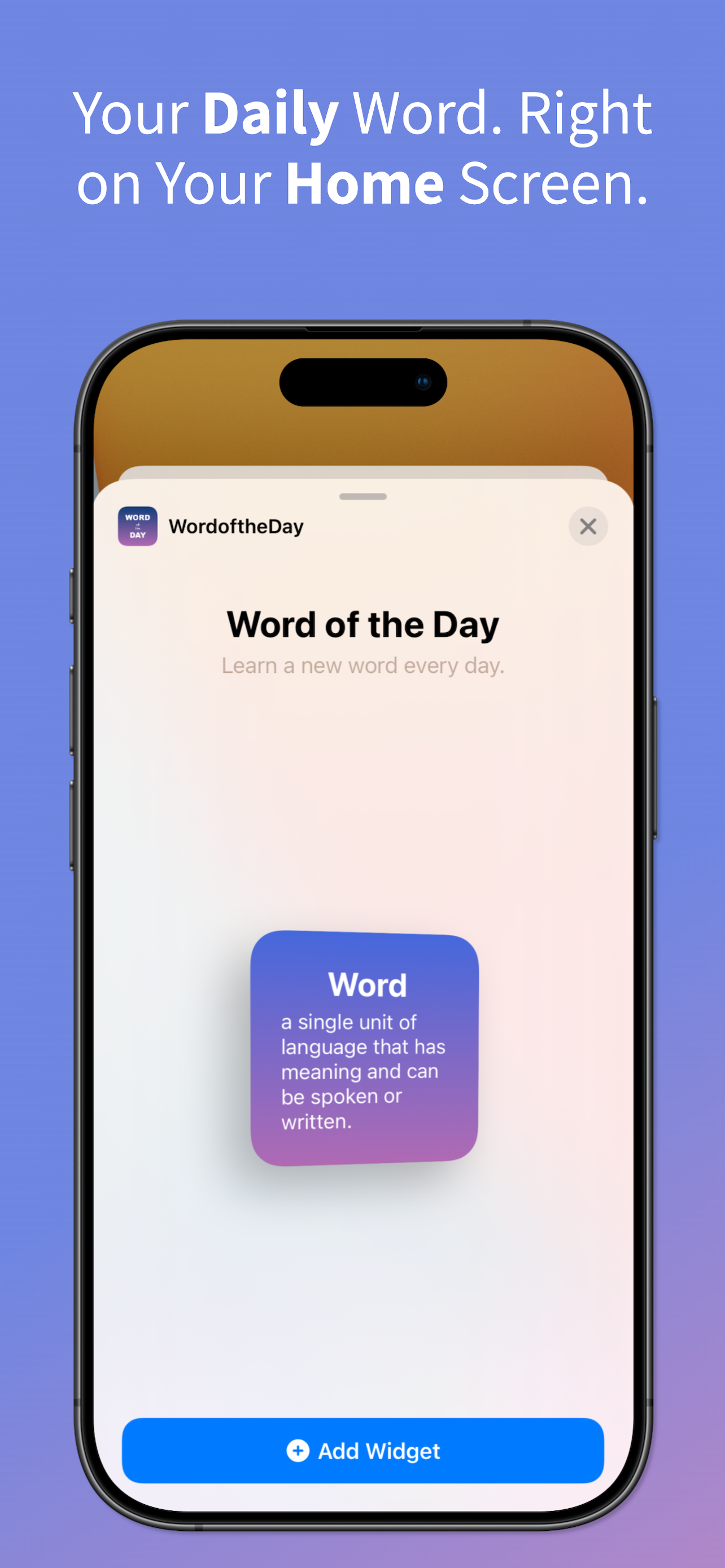Word of the Day: Widget