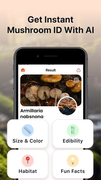 Mushroom Identifier Fungus ID