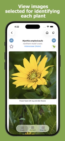 Washington Wildflowers screenshot