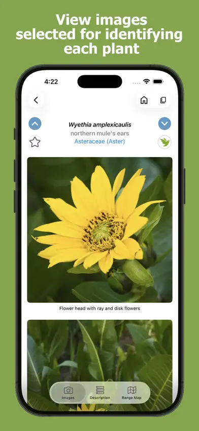 Washington Wildflowers screenshot 3