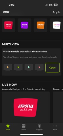 Afroflix OTT screenshot