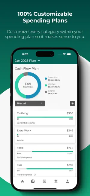 Cash Flow and Capital screenshot 3