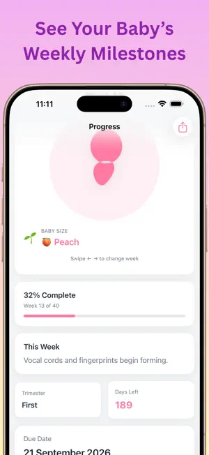 Pregnancy Tracker: Due Date screenshot 4
