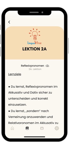 Linguaviva Sprachschule screenshot