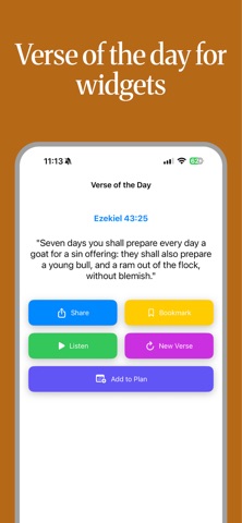 World English Bible OfflineAI iPhone screenshot