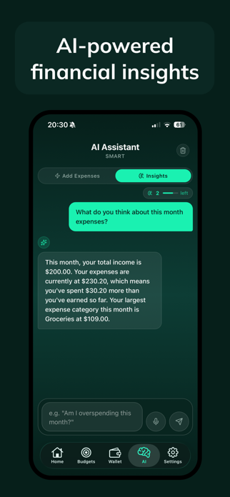 Ovlo: AI Expense Tracker Screenshot 4 of 7