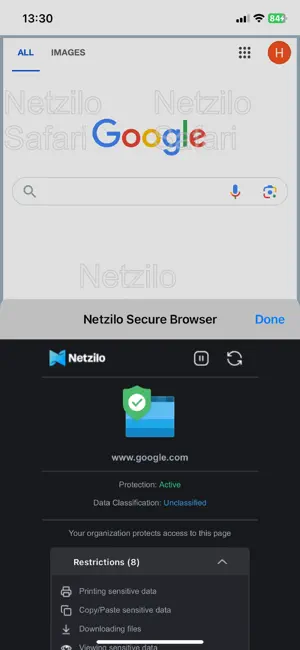 Netzilo Secure Browser screenshot 1