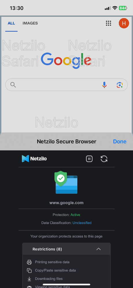 Netzilo Secure Browser screenshot 1