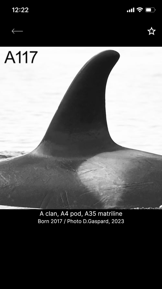 #1. NRKW ID (iOS) 由: Alert Bay Cetological Society