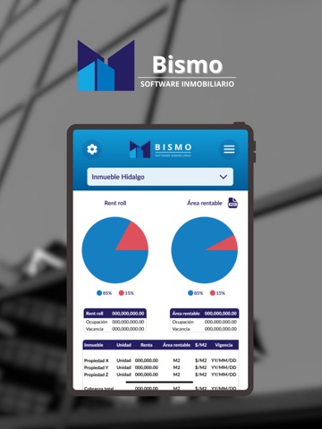 Bismo BI iPad screenshot