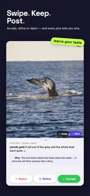curator – AI photo picker screenshot 4