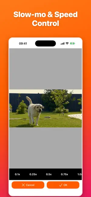 VideoReverser: Reverse Video screenshot 3
