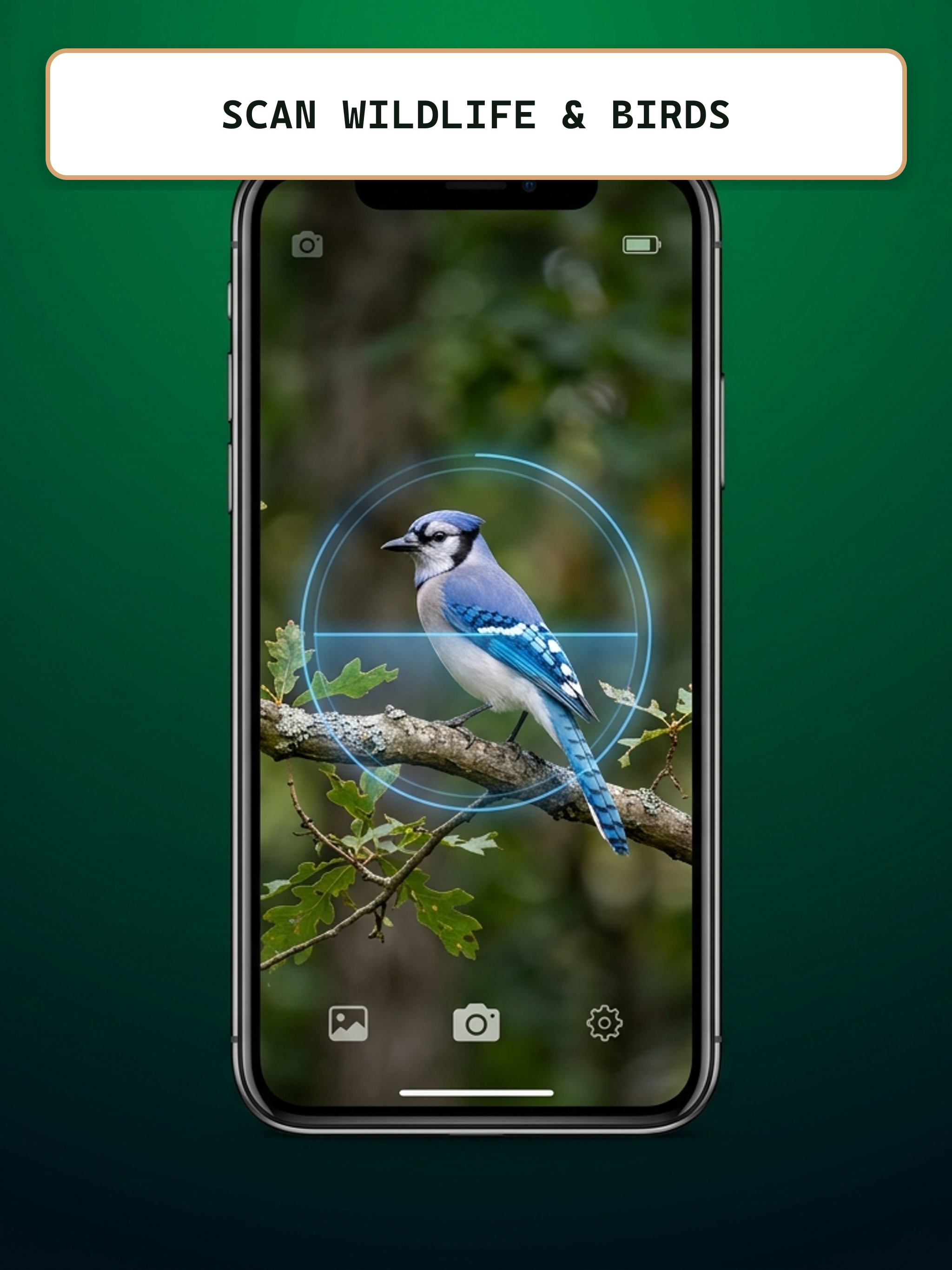 ForestForay: Plant Identifier screenshot 7