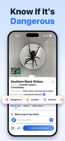 Bug Identifier: Insect Scan AI iPhone screenshot