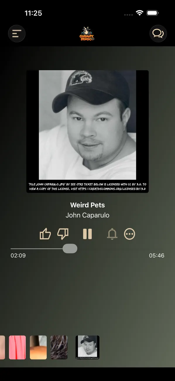 Screenshot #1 pour Grumpy Dingo Radio