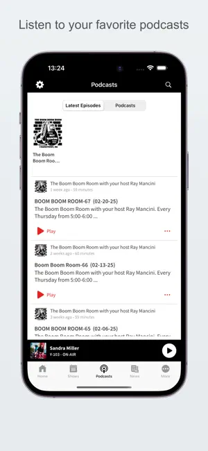 Y-103 screenshot 4