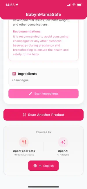 BabynMamaSafe screenshot 1