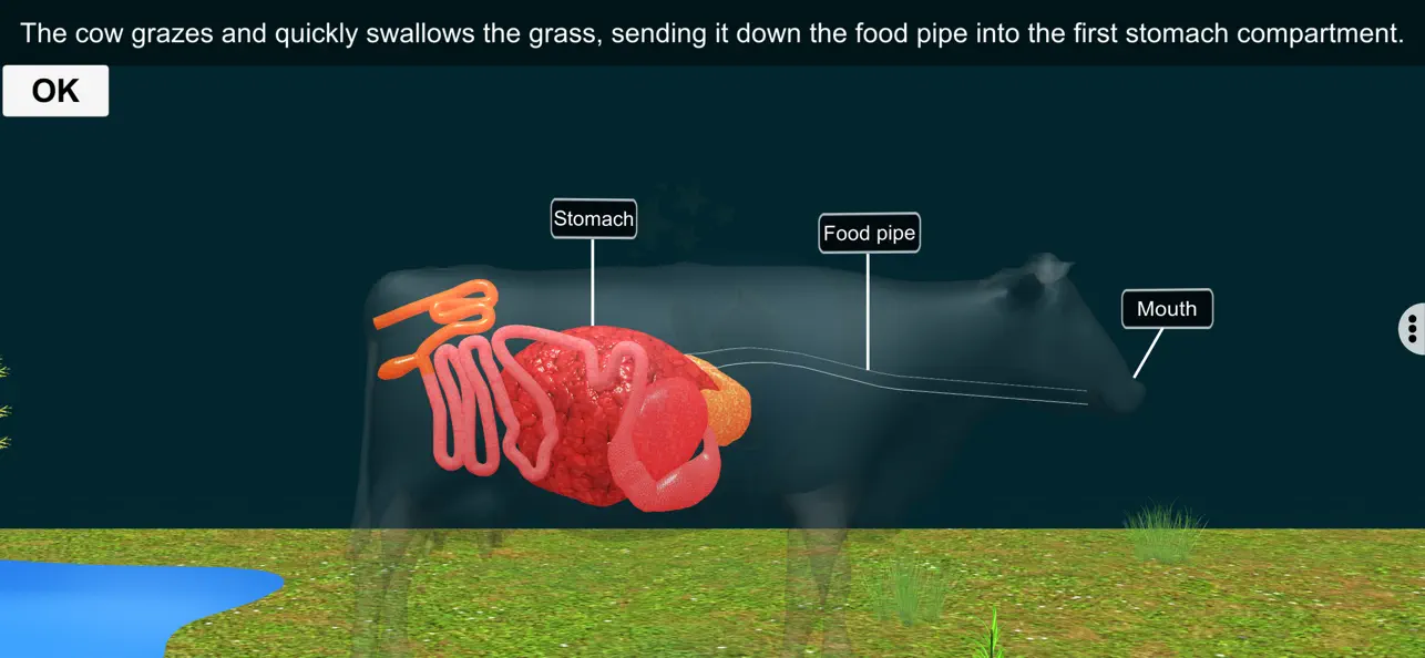 Screenshot #3 pour Ruminant Digestion-EduTech Era