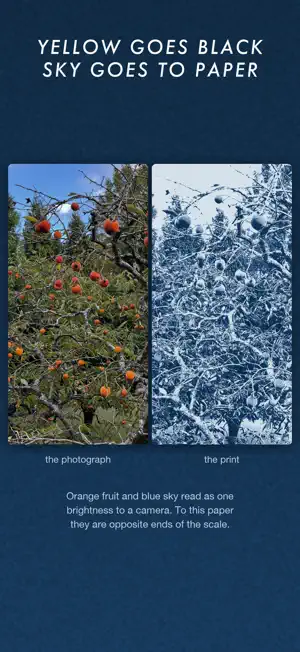 CYANO - Cyanotype Photos screenshot 3
