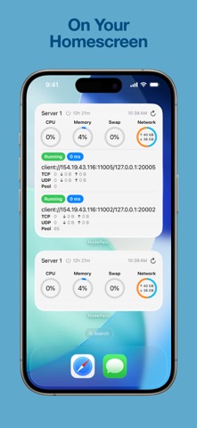 NodePass screenshot