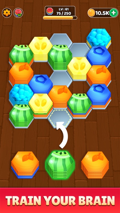 Hexa - Color Block Puzzle screenshot-4