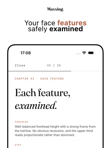 Maxxing - LooksMax PSL Scale iPad screenshot