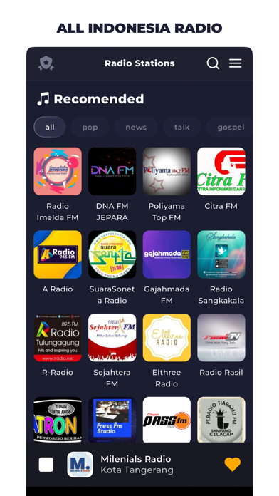 Radio Indonesia Online FM Screenshot