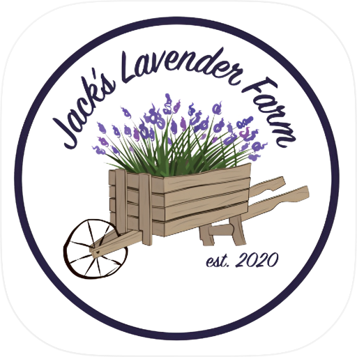 Jacks Lavender Farm