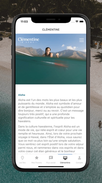Clémentine In Hawaii screenshot-5