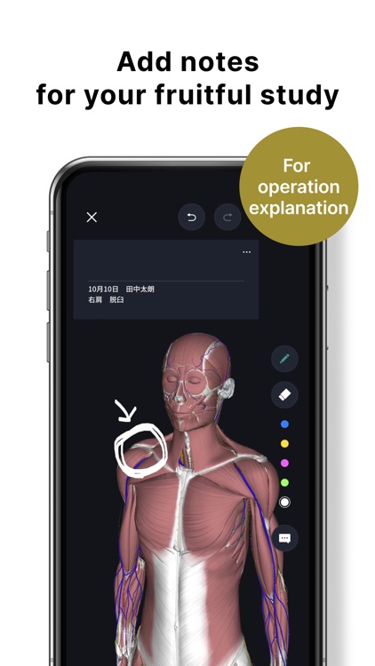 teamLab Body Pro 3d anatomy screenshot-4