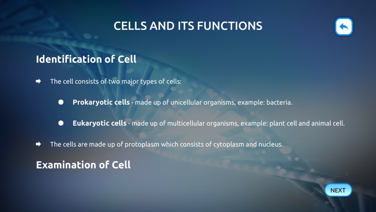 Biology Cell Structure