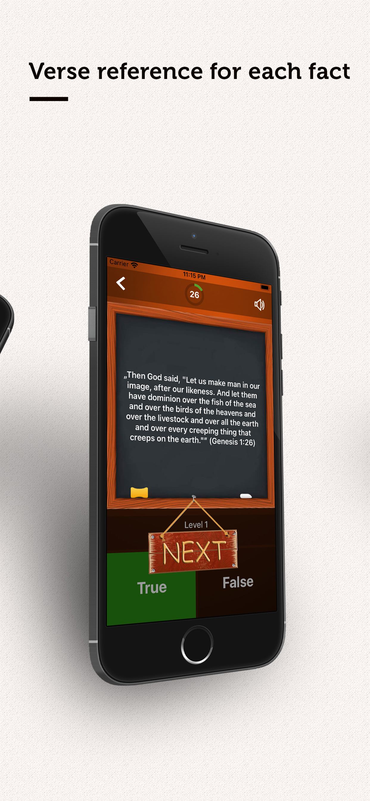 True or False? - Bible Quiz screenshot 4