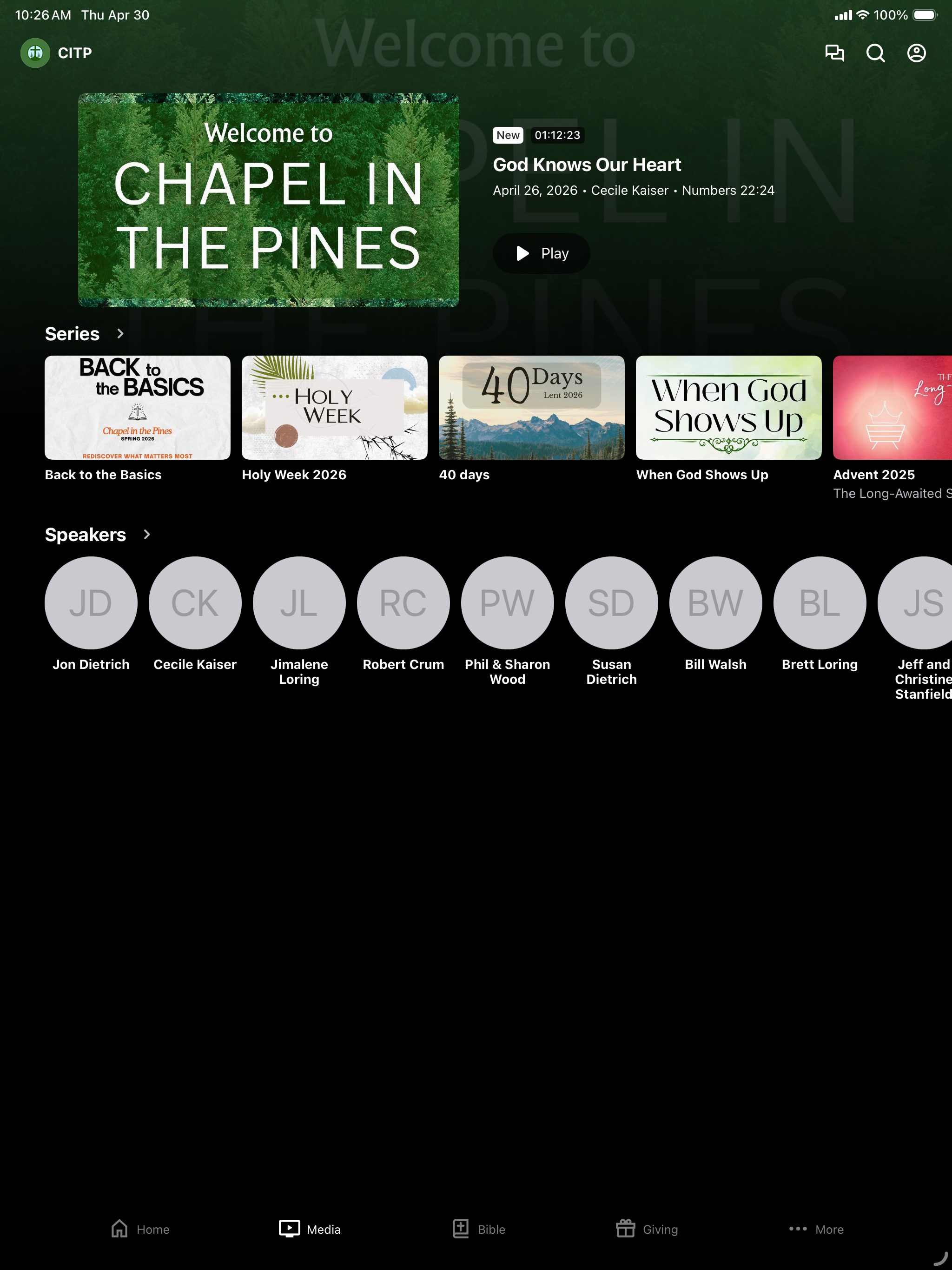 Chapel in the Pines screenshot 6
