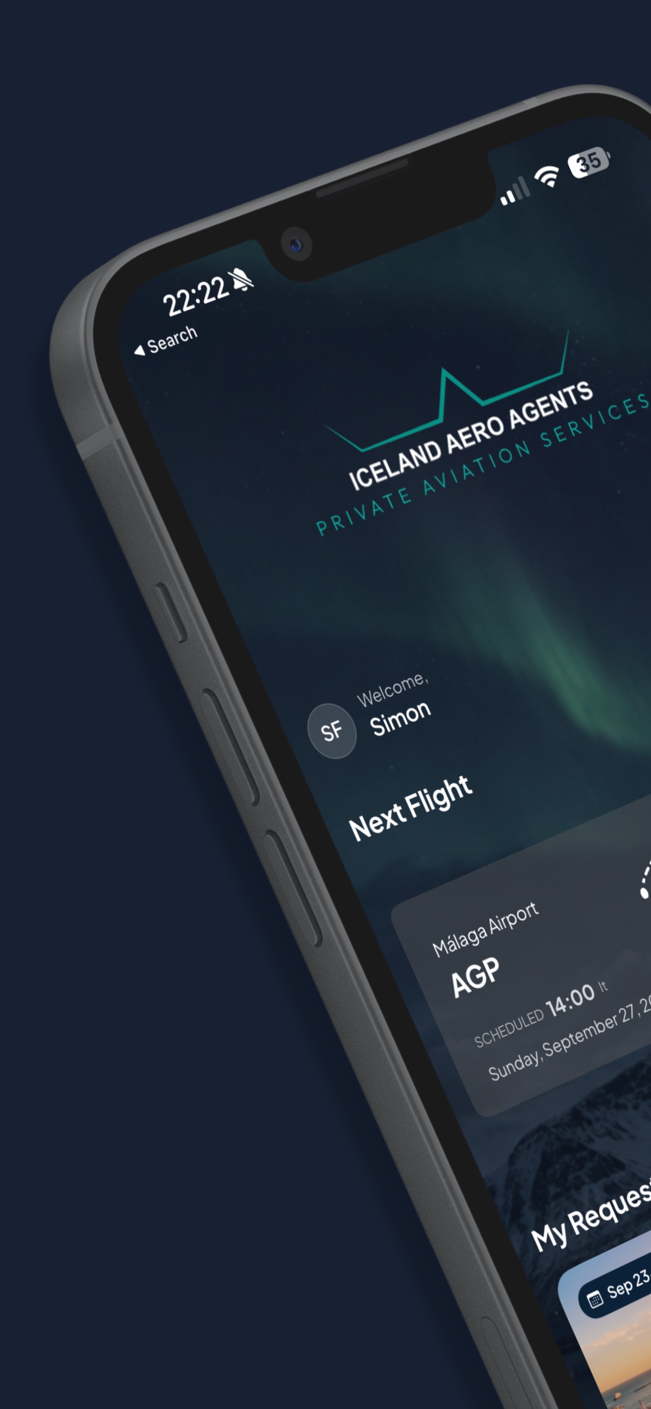 Screenshot 6 of Iceland Aero Agents