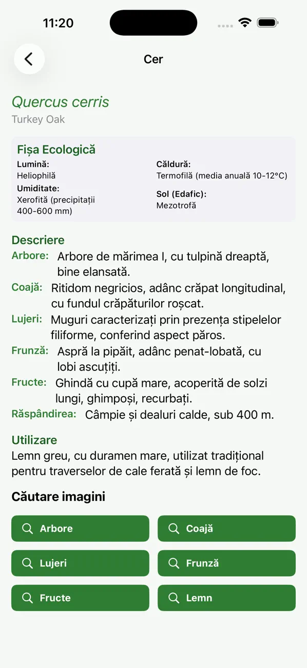 #6. ForestTrees (iOS) De: Florin Nicola