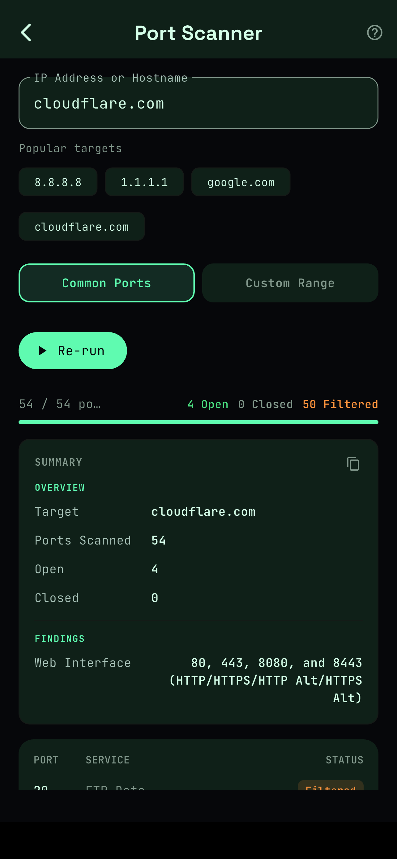 Netra: Network Toolkit screenshot 4