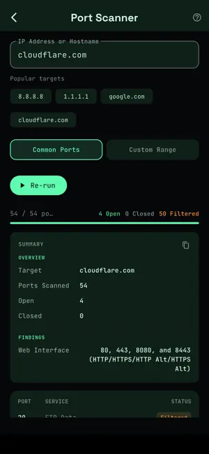 Netra: Network Toolkit screenshot 4