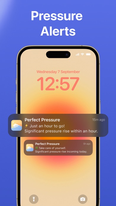Migraine Tracker: Pressure Pal
