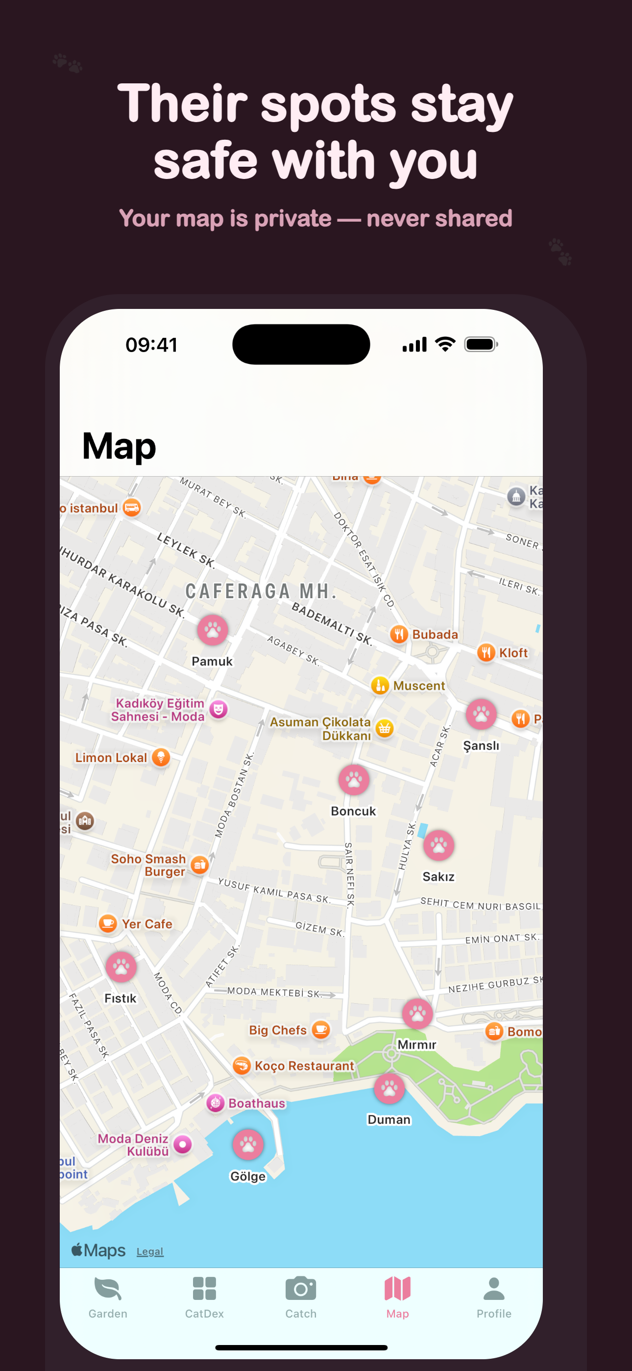 Pawllect: Cat Collector screenshot 4