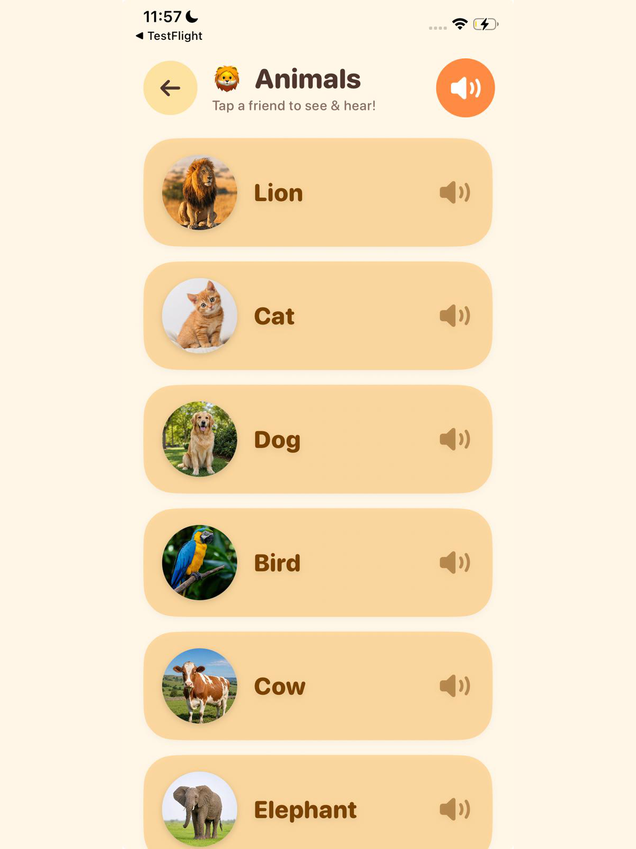 Little Friends Learn screenshot 7