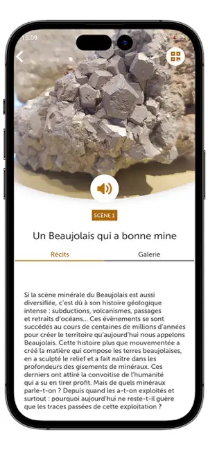 Fossilea screenshot 2