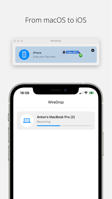 WireDrop Screenshot