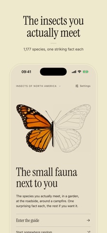 Entoma: Insect Field Guide screenshot 3