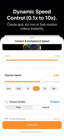 Offline Video Converter & Tool screenshot