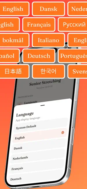 Senior Stretch: Home Mobility screenshot 4