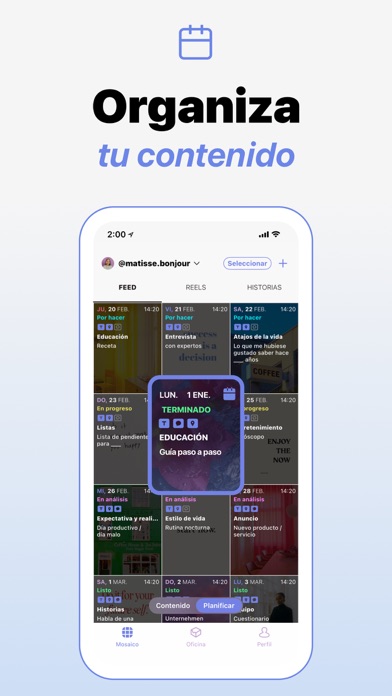 Content Office: Feed para IG