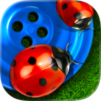 Bugs and Buttons