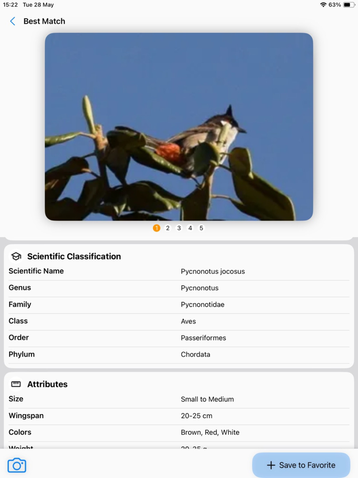Bird Identifier AI Scanner